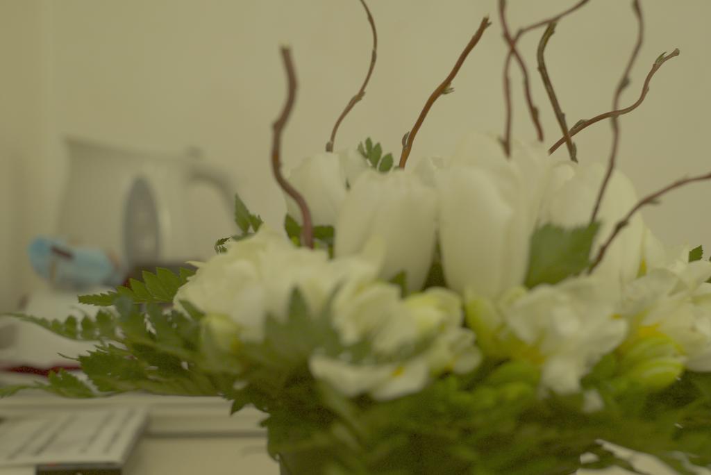 Locanda Navona Рим Екстериор снимка